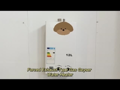 Digital Temperature Adjustable Forced Exhaust Gas Water Heater High Efficiency 12L - 24L